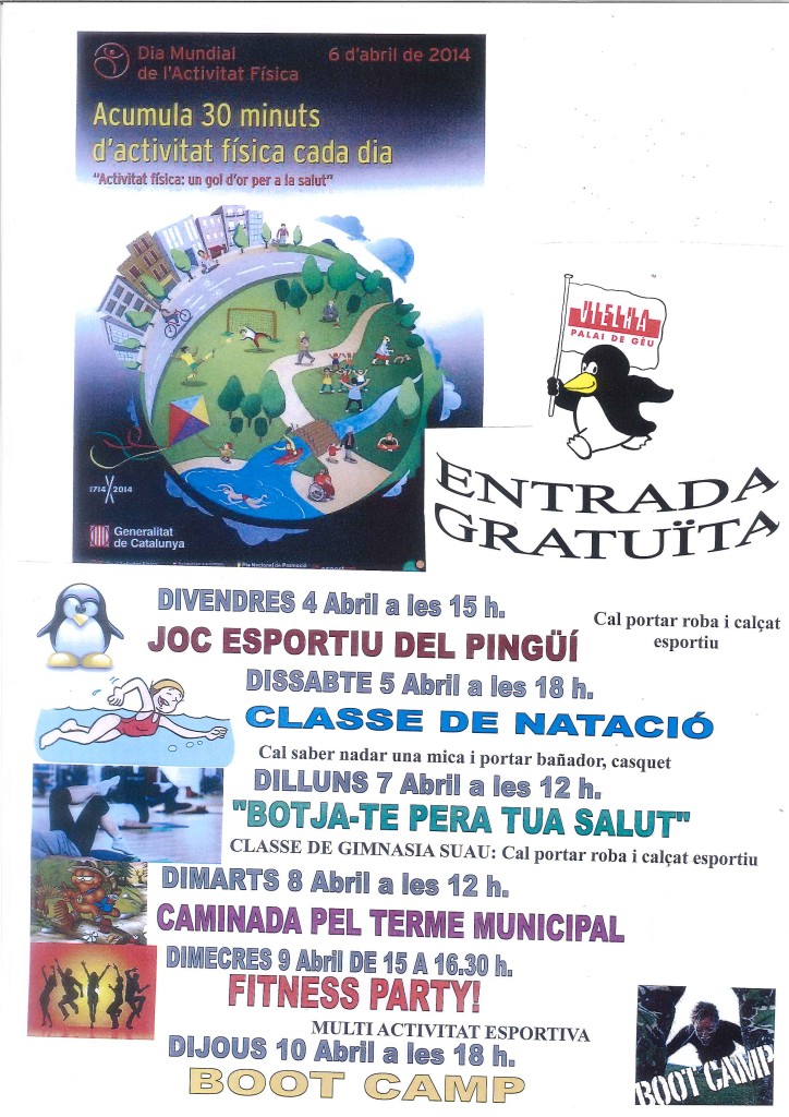 mundial actividad fisica_palai