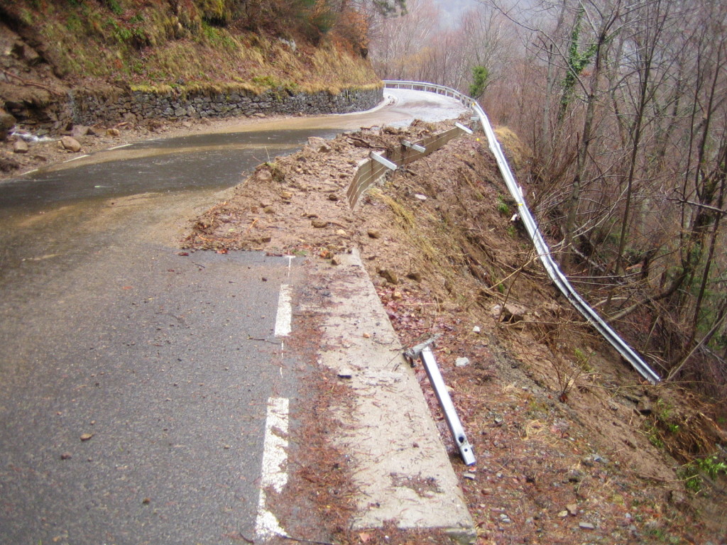 canejan 1