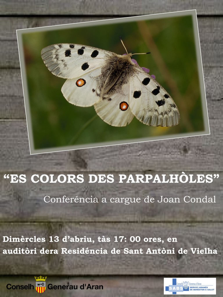 conferencia_parpalholes_16