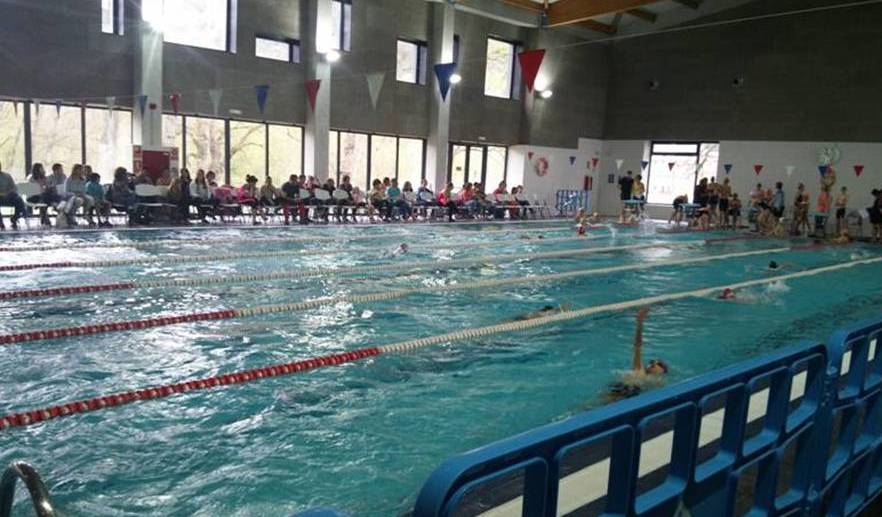 natacion-pont2