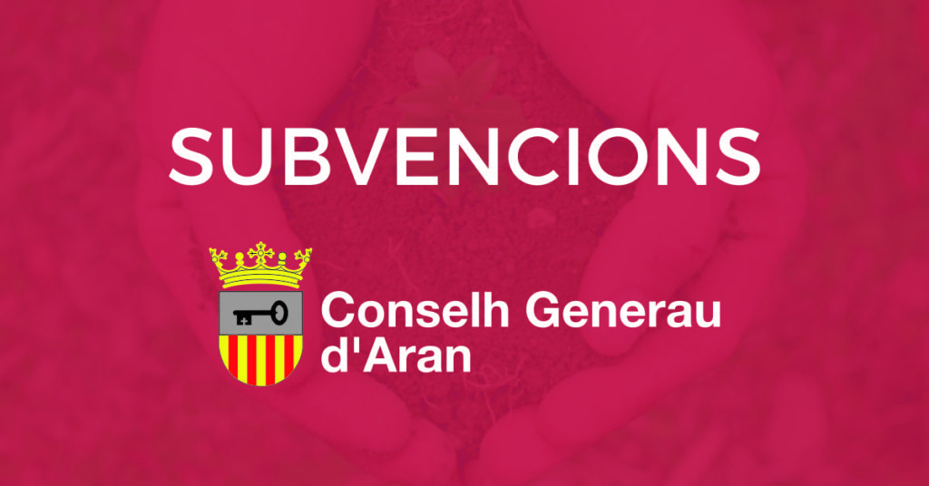 subvencions2