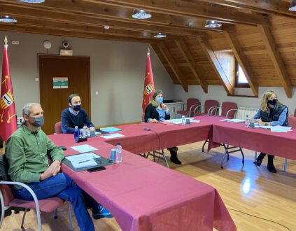 Conselh Generau D Aran